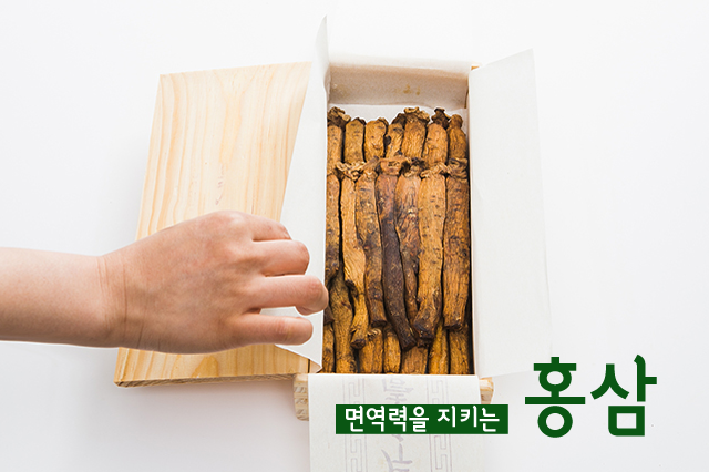 건강, 면역력이 답이다! 건강 지키는 면역력 식재료