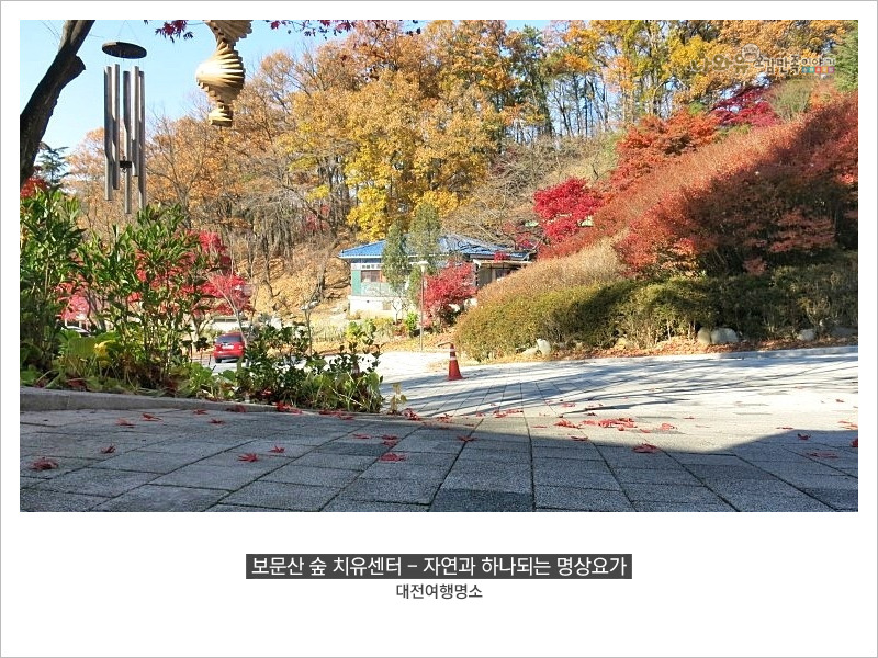 자연과숲 이미지