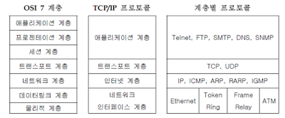 OSI 모델과 TCP/IP 프로토콜